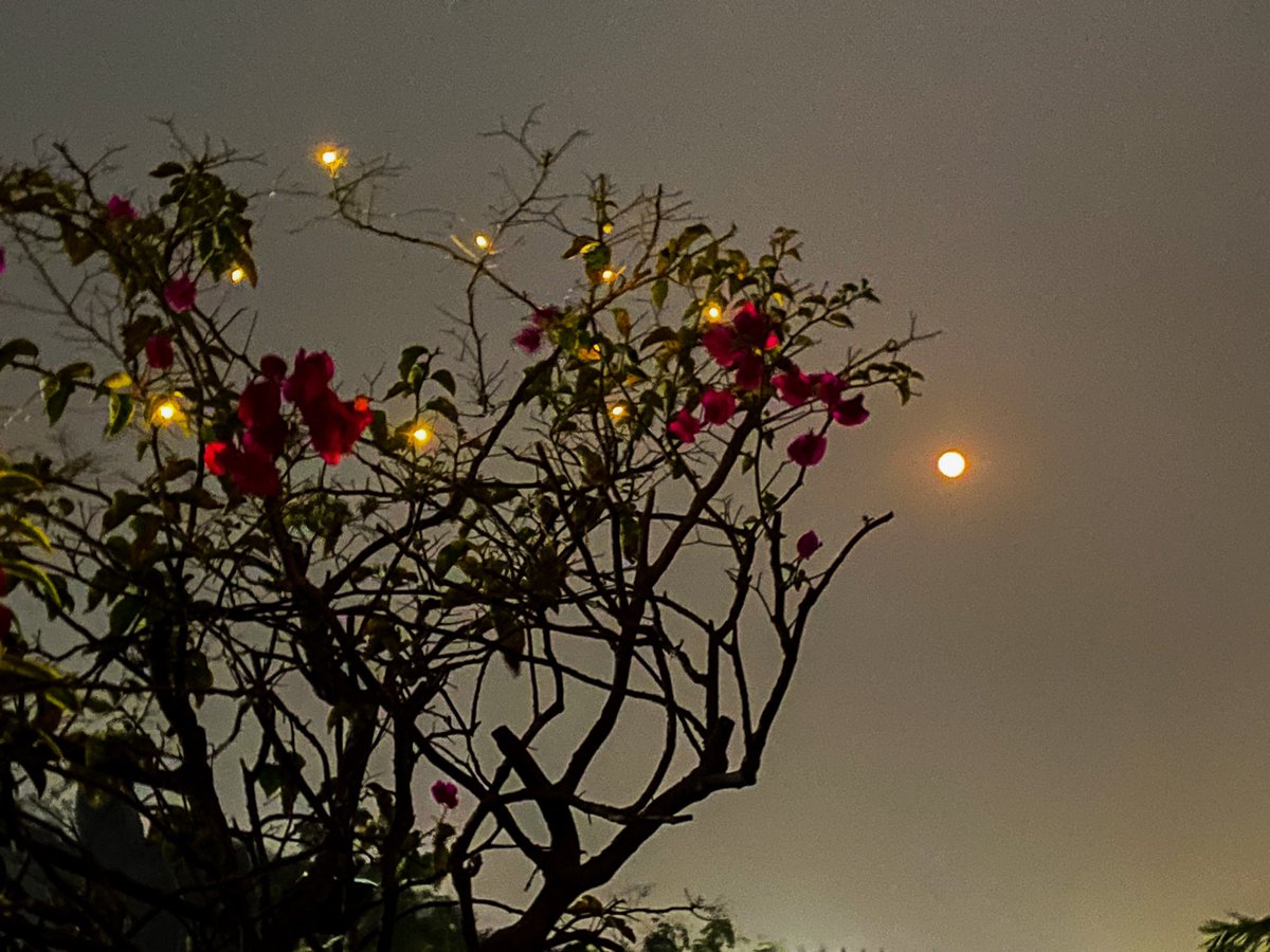 “The moon has awoken with the  sleep of the sun ..the light has been broken; the spell has begun” ✩