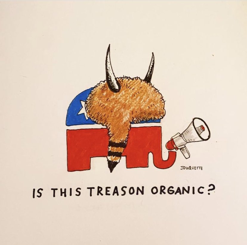 HoaxToons's tweet photo. The new GOP look for 2021 is very much on point. @gop @senategop #hoaxtoons https://t.co/JEzGP1qK3U