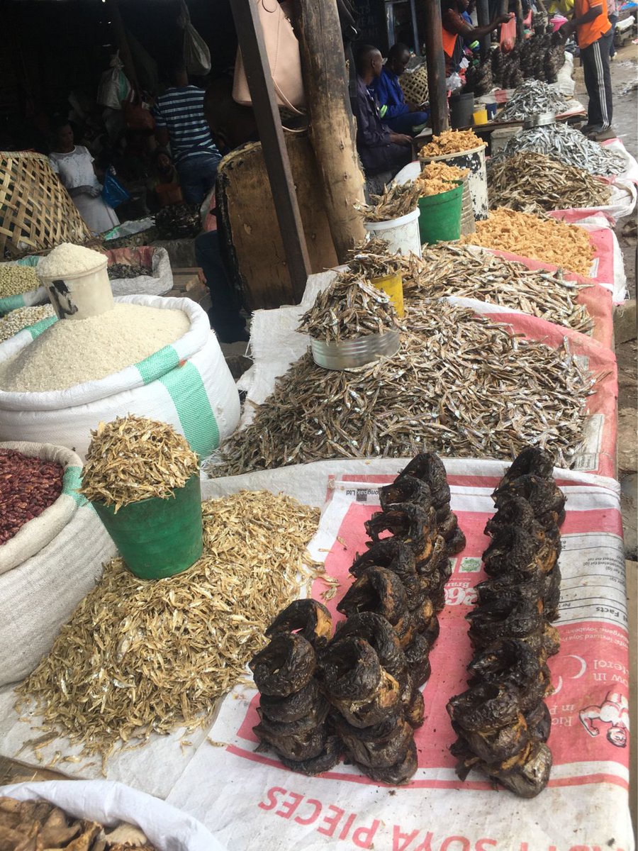 NambeyeEva's tweet photo. Fish prices have rocketed at Soweto due to the fish ban (e.g. Kapenta is now K300/meda!). 
However, fish resources ought to be managed to maintain fish harvests at sustainable levels as they provide food, nutrition and livelihood security to millions of the population in Zambia. https://t.co/eyw5qFLZEw