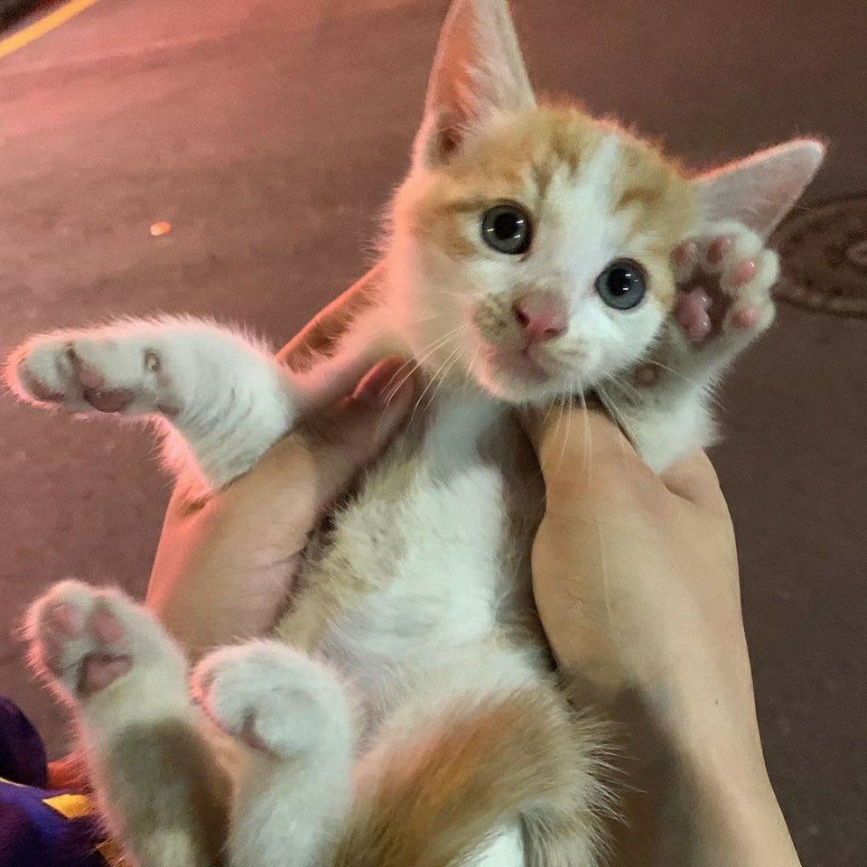 새로운 분들 모두 친해져요! 
맘찍하시면 뎀갑니당