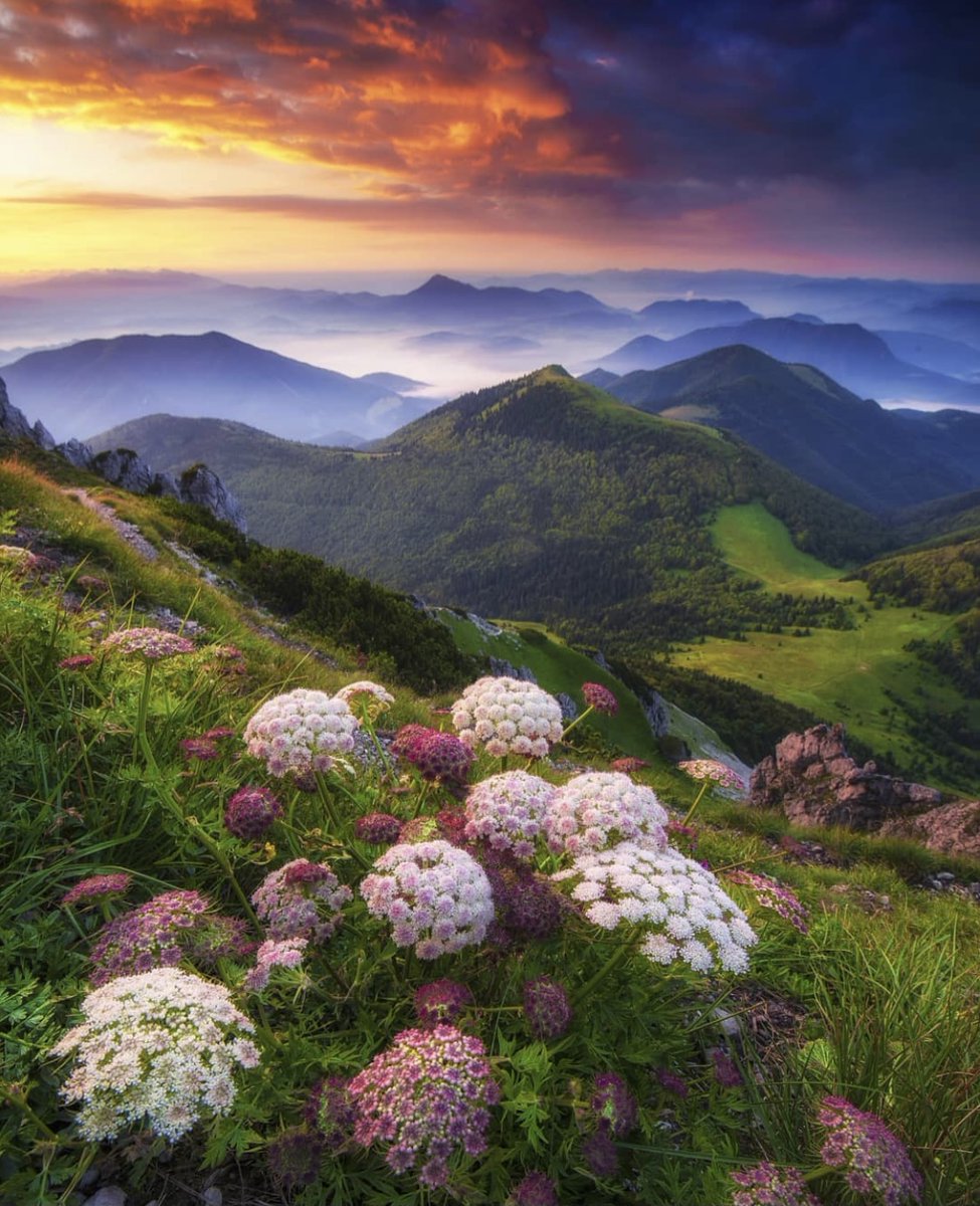EarthPix's tweet photo. Sunrise at Malá Fatra, Slovakia 🌄 
📷 @borievkyphotogallery https://t.co/T744xUSL0D