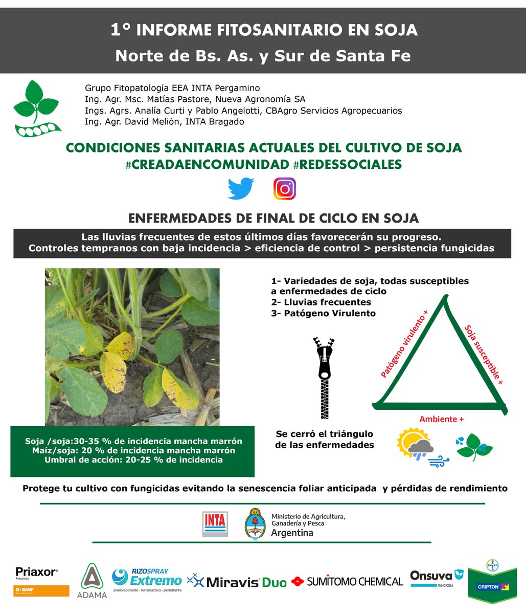 lhraste's tweet photo. #Ahora 👉🏻 1° Informe Fitosanitario en Soja  Equipo Fitopatología 🌱@IntaPergamino @lucrecouretot @MatiasPastore3 @anicurti @PabloAngelotti @MelionDavid @lhraste @BASFAgro @AdamaArgentina @FMC @sumitomochem_ar @rizobacterarg @Syngenta @Bayer https://t.co/UroWPOu5J9