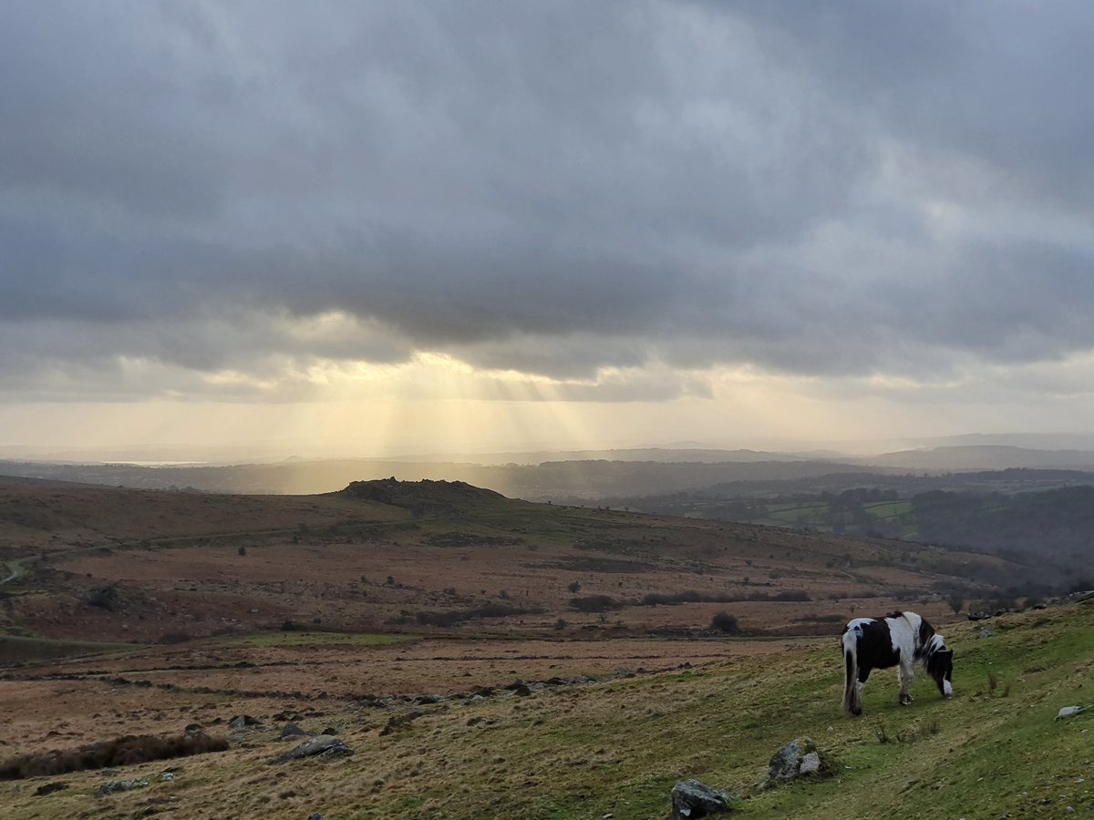 higherlongford's tweet photo. Walk near Foggintor #dartmoor #higherlongford #visitdartmoor #visitdevon #hiking #staycation #dogfriendly https://t.co/ne9ChsjZDN