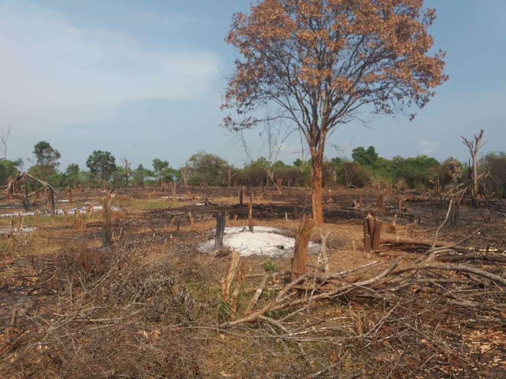 XRebellionLK's tweet photo. President @GotabayaR has signaled his intention to
de-gazette Dahaiyagala Wildlife Sanctuary. This sanctuary also serves as a wild elephant corridor. Such actions will only serve to escalate the Human-Elephant Conflict wreaking havoc in Sri Lanka. #lka #saveourforestssl #ActNow https://t.co/wS6RJZux7O