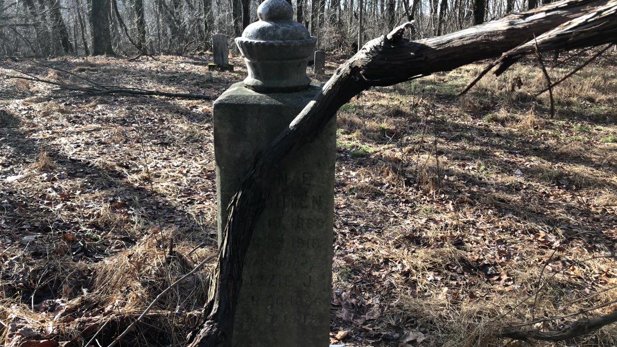 CRidgeFilms's tweet image. The Shifflett-Haney Cemetery, also known Fern Hill Cemetery, is not exactly forgotten, but it&apos;s off the beaten path. Located within the boundaries of the Shenandoah National Park and a bit off of the Appalachian Trail in Swift Run, VA. youtu.be/pa68td6Lj58