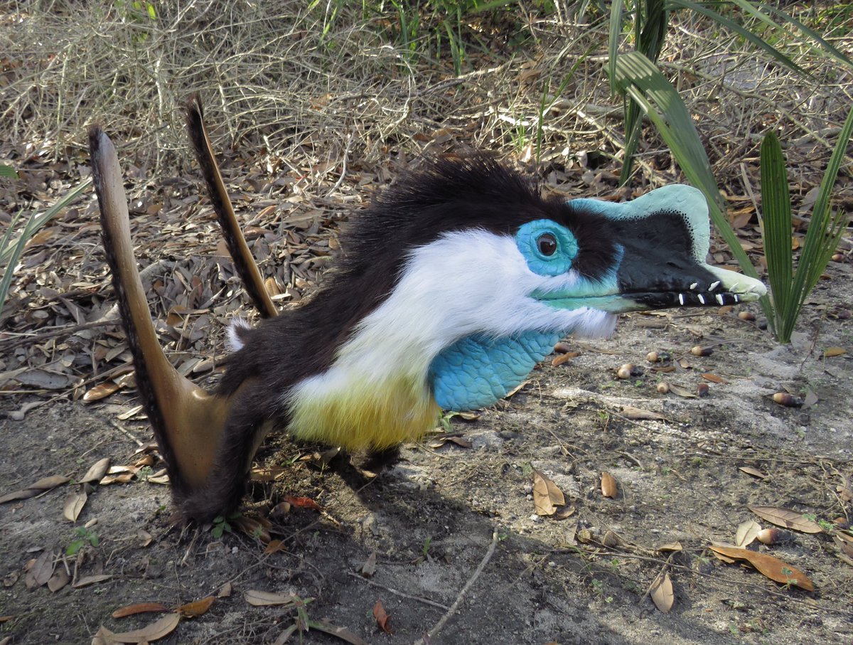 Lyn Joyce tweet media