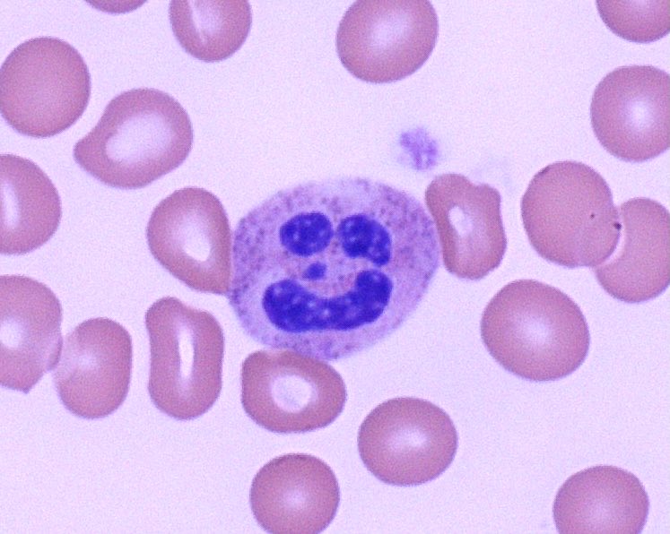 Chad McCall tweet media