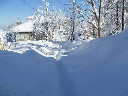 #yabandabizimvatandabizim