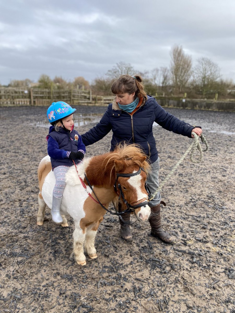 dannygrotbags's tweet photo. We have done miles the past couple of days , best present ever bought 🧡💙 #gingie&bertie https://t.co/ZxwevsZlJw