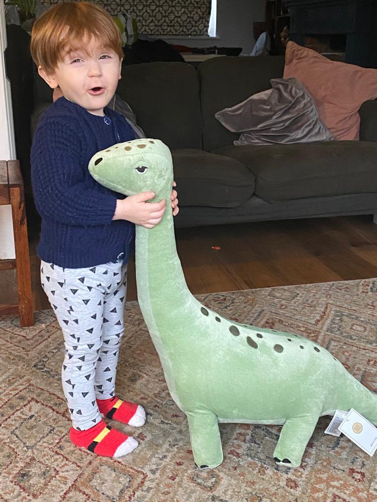 NotSoDadOTYear's tweet photo. Toddler sized Dino Teddy?? Abso-bloody-lutley #dinosaur #dinodana #dadlife https://t.co/x2Wh6cvKCr