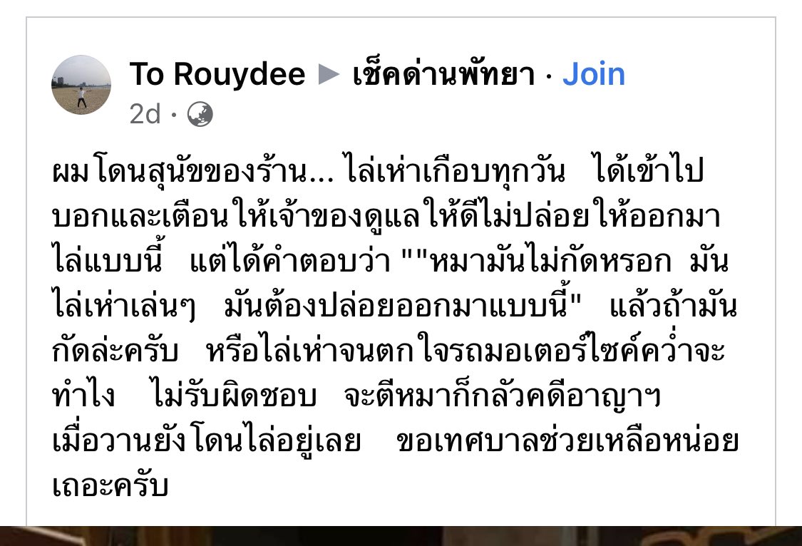 🦊🦊 ชิบะของน้องแชง 🦊🦊 tweet media