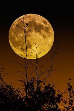 Весеннее полнолуние. Весенняя луна. Полнолуние. Полнолуние после весеннего равноденствия. Полнолуние астрономическое явление.