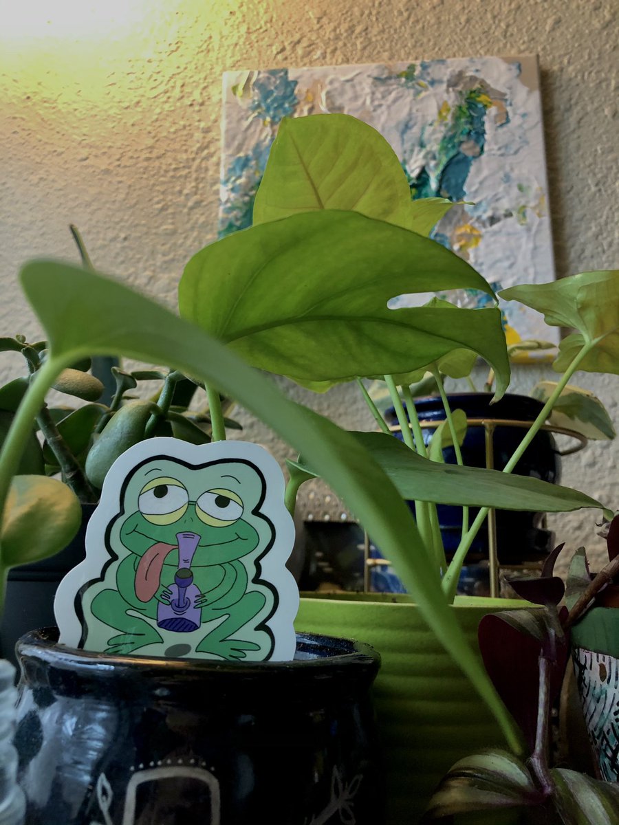 AngeeelMarie's tweet photo. what did the frog say to his friend before hitting the bong? rip it 🐸 
my 2.5x3 stickers are available on my etsy! check it out and share :) https://t.co/JAtRuUGdI2