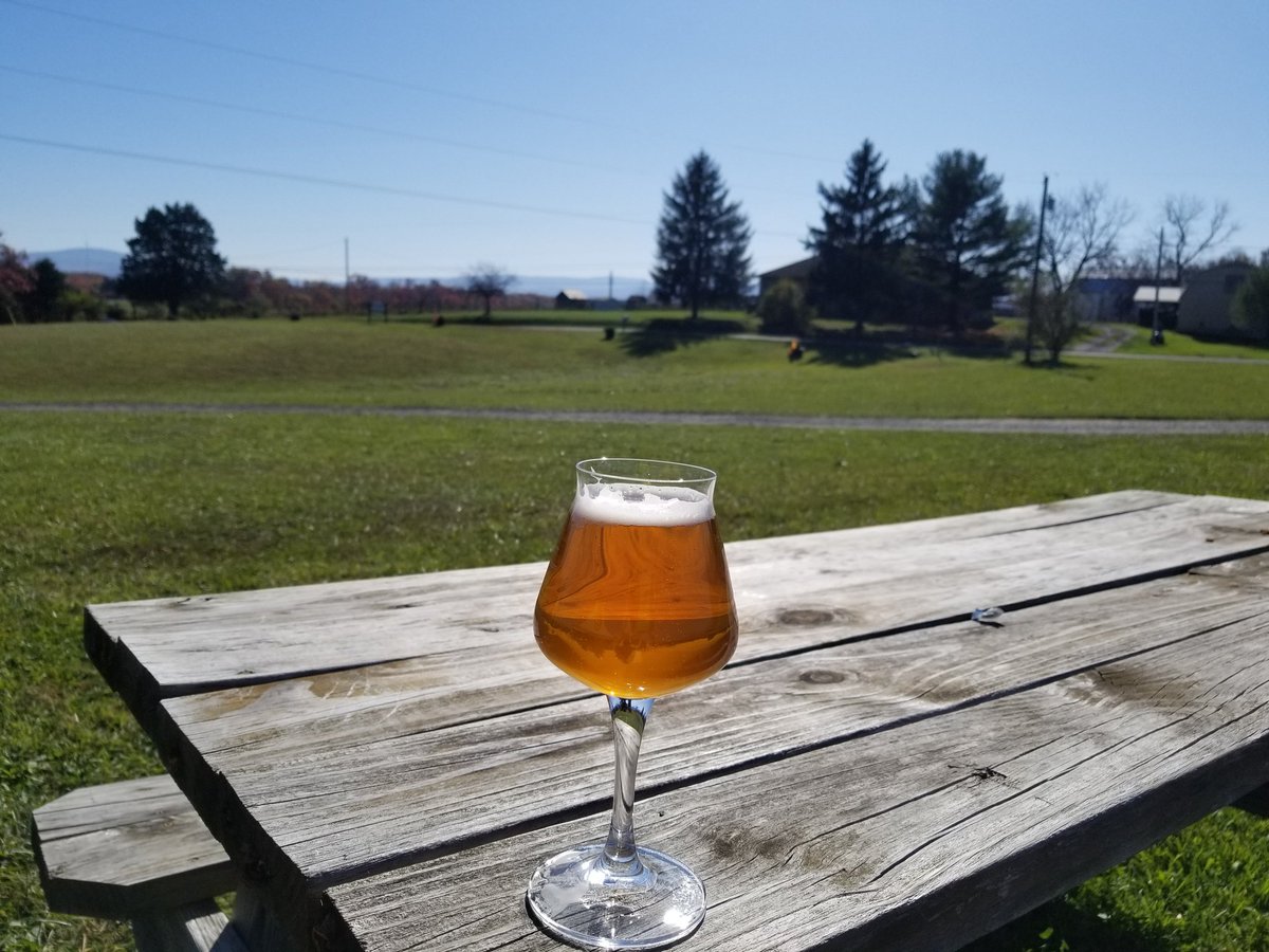 Backroombrews's tweet photo. Get out here for some sin while you can!  20 beers on tap and a bon fire later. https://t.co/ZLVqFEJrcP