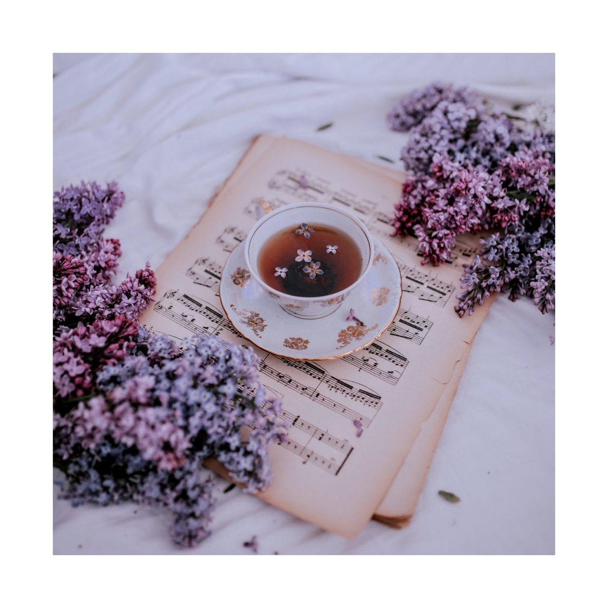teasplaining's tweet photo. We love a good cup of hot tea and some soothing classical music on a cold weekend morning 😌🎶
What are some tunes you've been listening to recently?
#Teasplaining #LetUsTeasplain #tealover #tealife #teatime #teacommunity #teaaddict #music #weekendvibes #goodvibes #chillvibes https://t.co/GL4XpnY95W