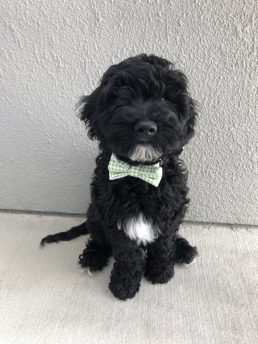 _morganc's tweet photo. meet my son looking handsome as ever https://t.co/n6duM7KsXP