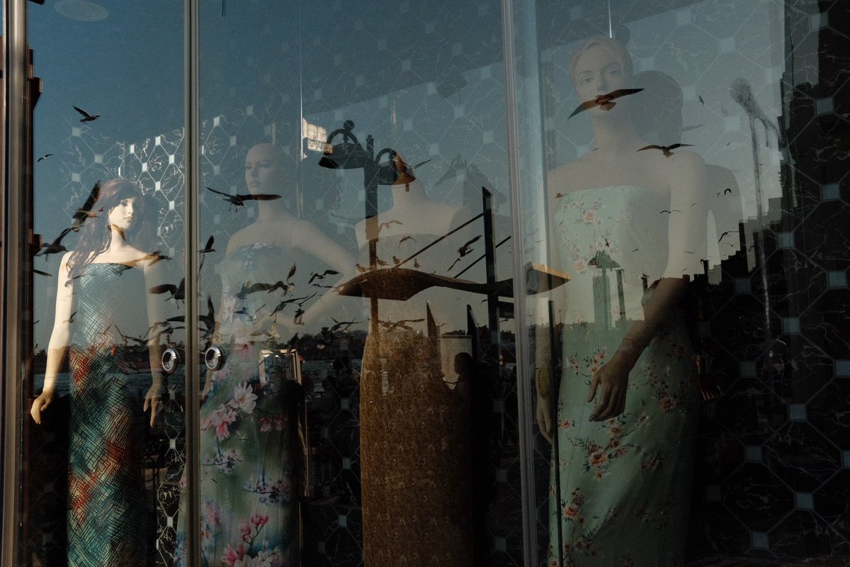 olaallouz's tweet photo. © 2021 Bur Dubai, Dubai. 🇦🇪
#fujifilmme
#xpro3
#23f2 https://t.co/nIwBu88yhX