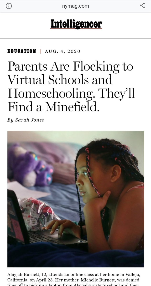  https://www.google.com/amp/s/nymag.com/intelligencer/amp/2020/08/pandemic-virtual-charter-schools.html