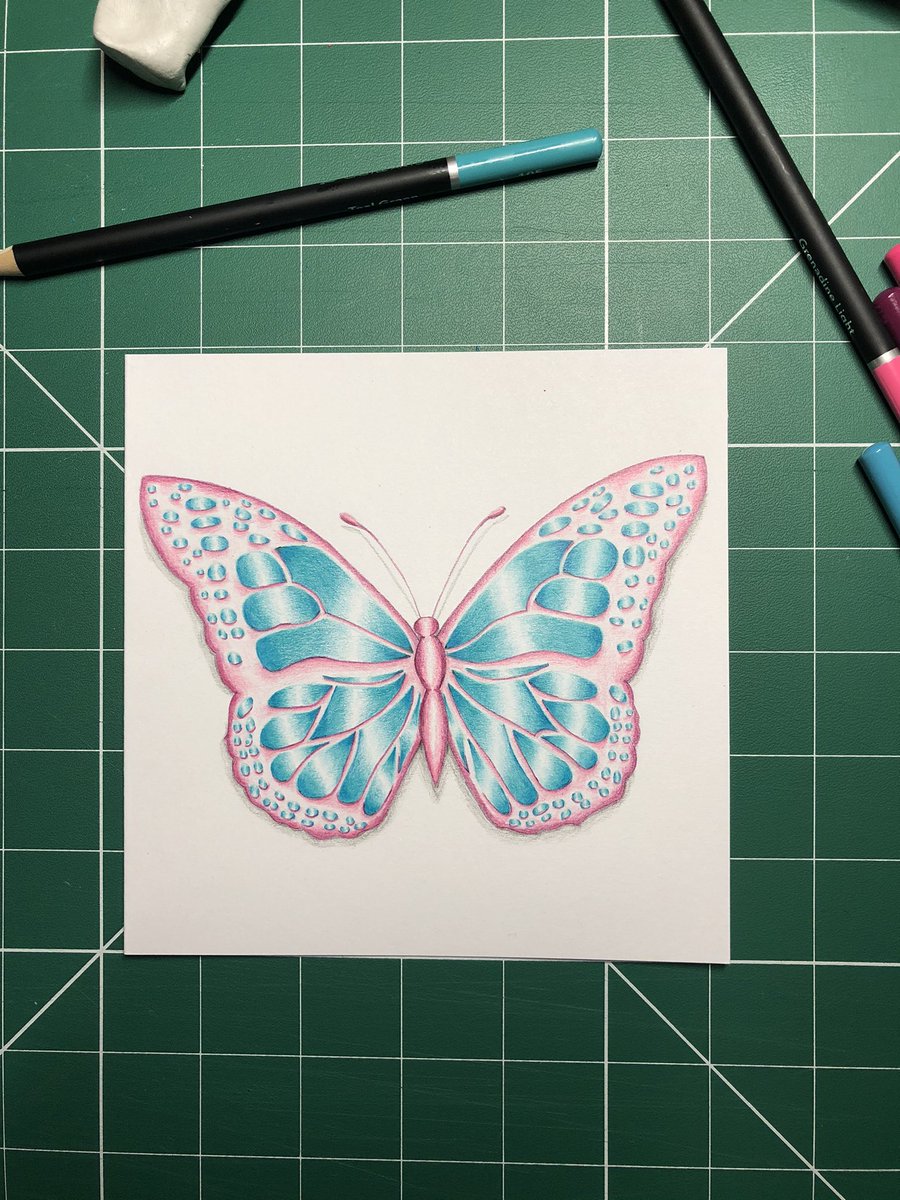 _katspaws_'s tweet photo. #butterfly 🦋 https://t.co/oq4nqKsjxL