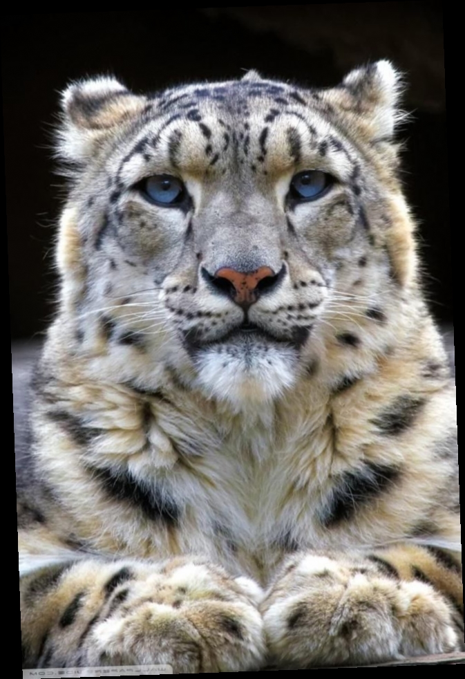 Sherry Ragland on Twitter "https//t.co/ArJvR9XKKB" / Twitter