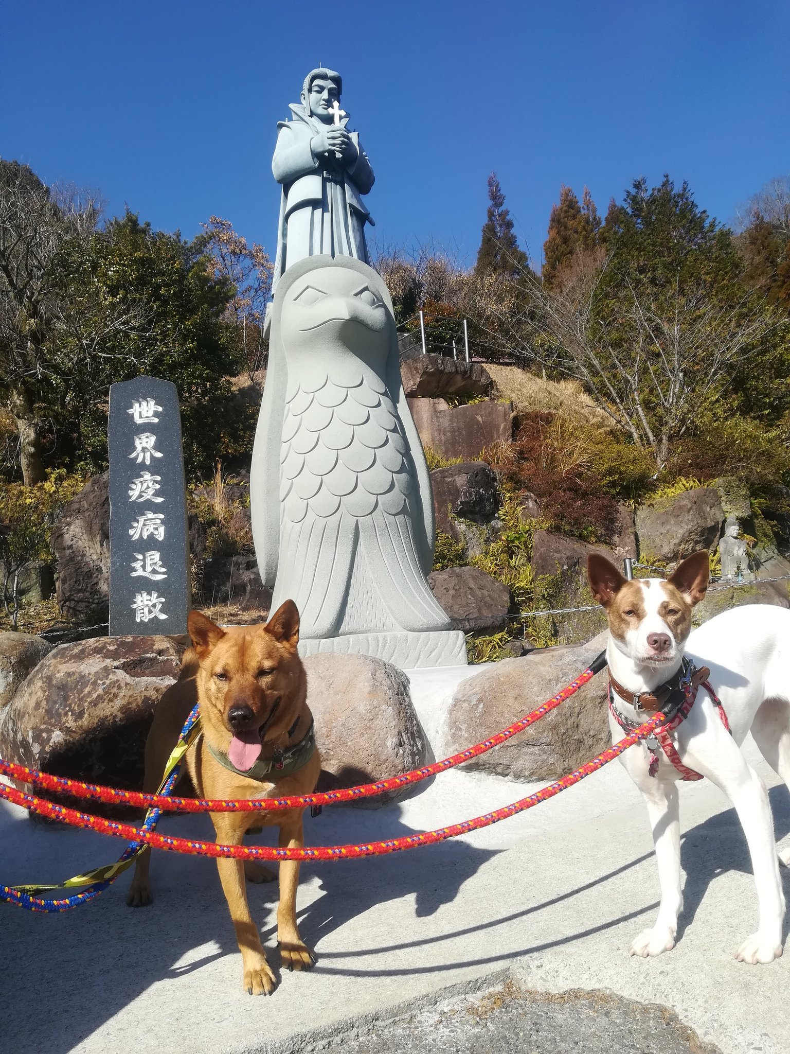 はちボラ Twitter Search Twitter