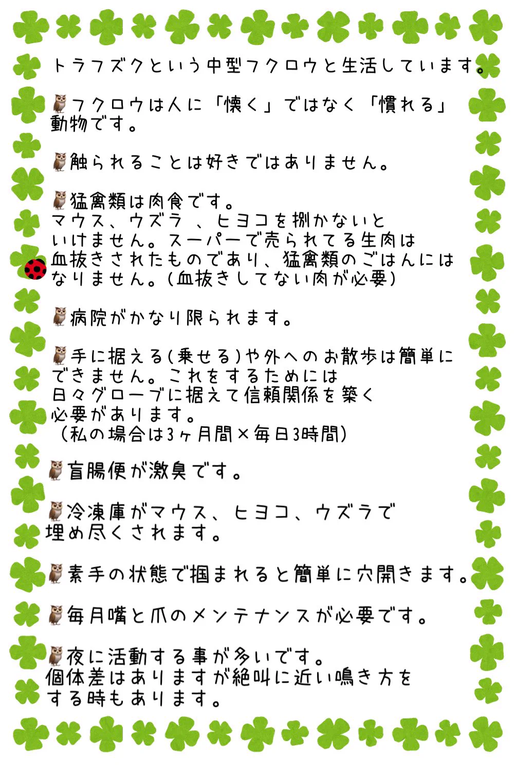 @senekiti 全てのフクロウがこれに当てはまるわけではないけど実際一緒に生活してみて強いて言えばと言う感じです。 