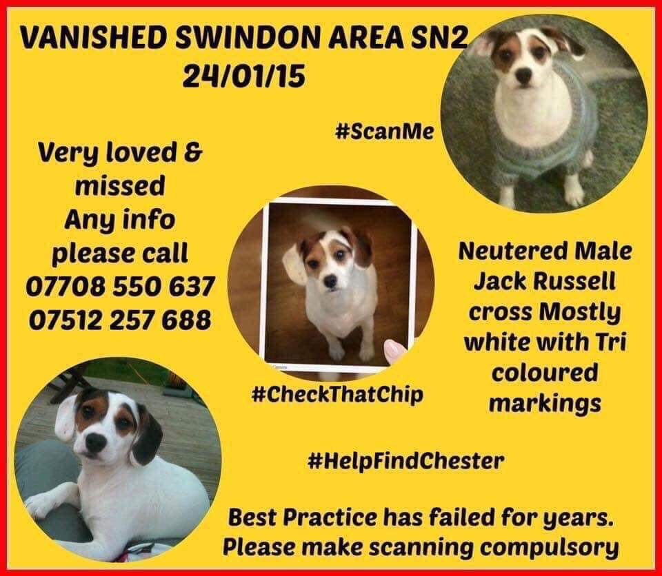 MissingPetsGB's tweet photo. Two #twitterstorms are happening 8-9pm on Sunday, for Ted and also for Chester
Please support if you can โค https://t.co/2fTuUq8aUS
