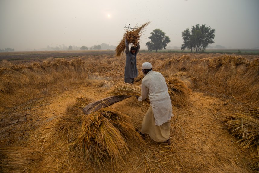 hsntalal_tiwana's tweet image. I'm a self-taught photographer from village of Sargodha plus a traveler, who has addiction with stories and culture of Punjab. A simple RT won't make me famous, but it could get my work to people who should see it.