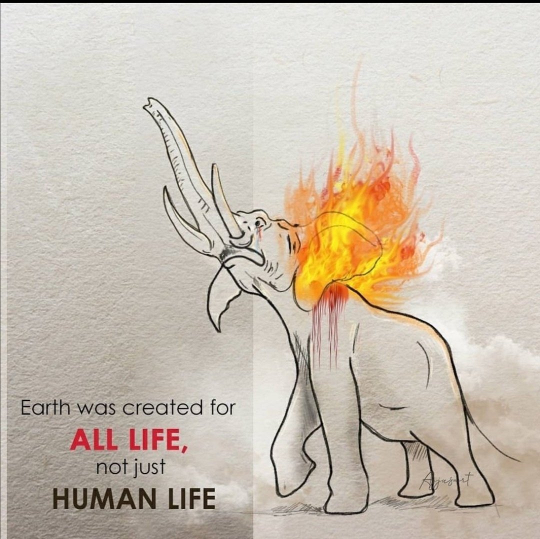 IfsMadhu's tweet image. Yes.