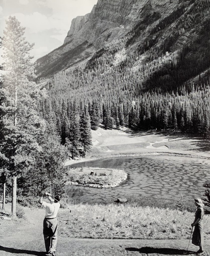 J. Liebert Golf Pics tweet media