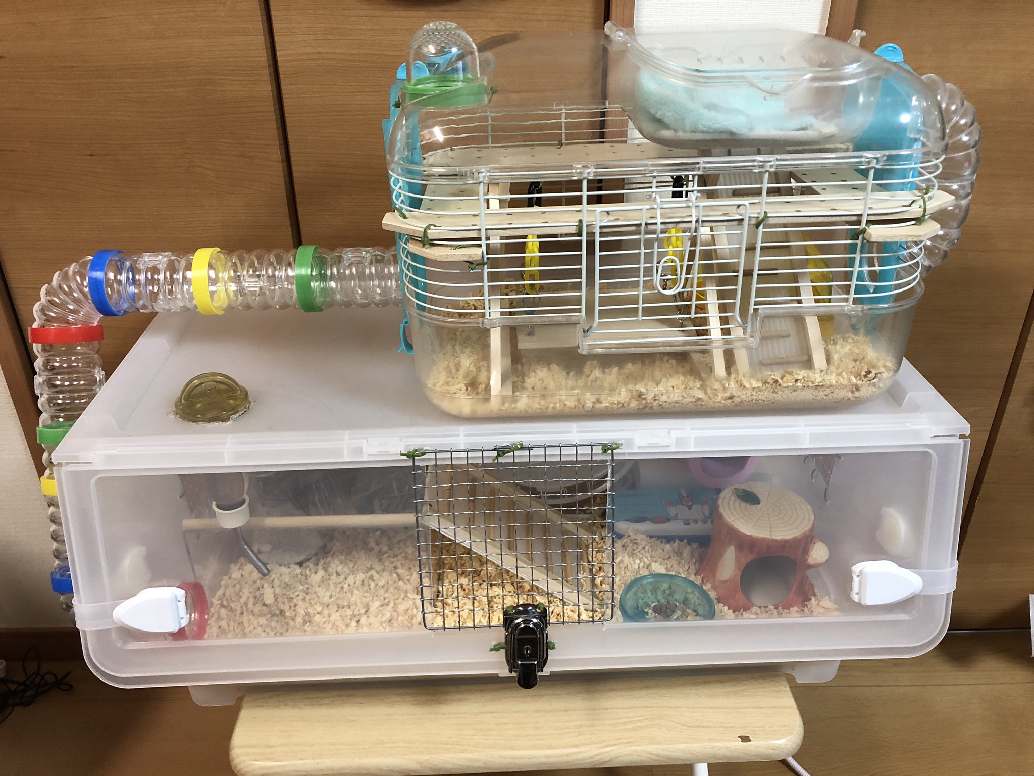 衣装ケース改造型ハムスターケージ