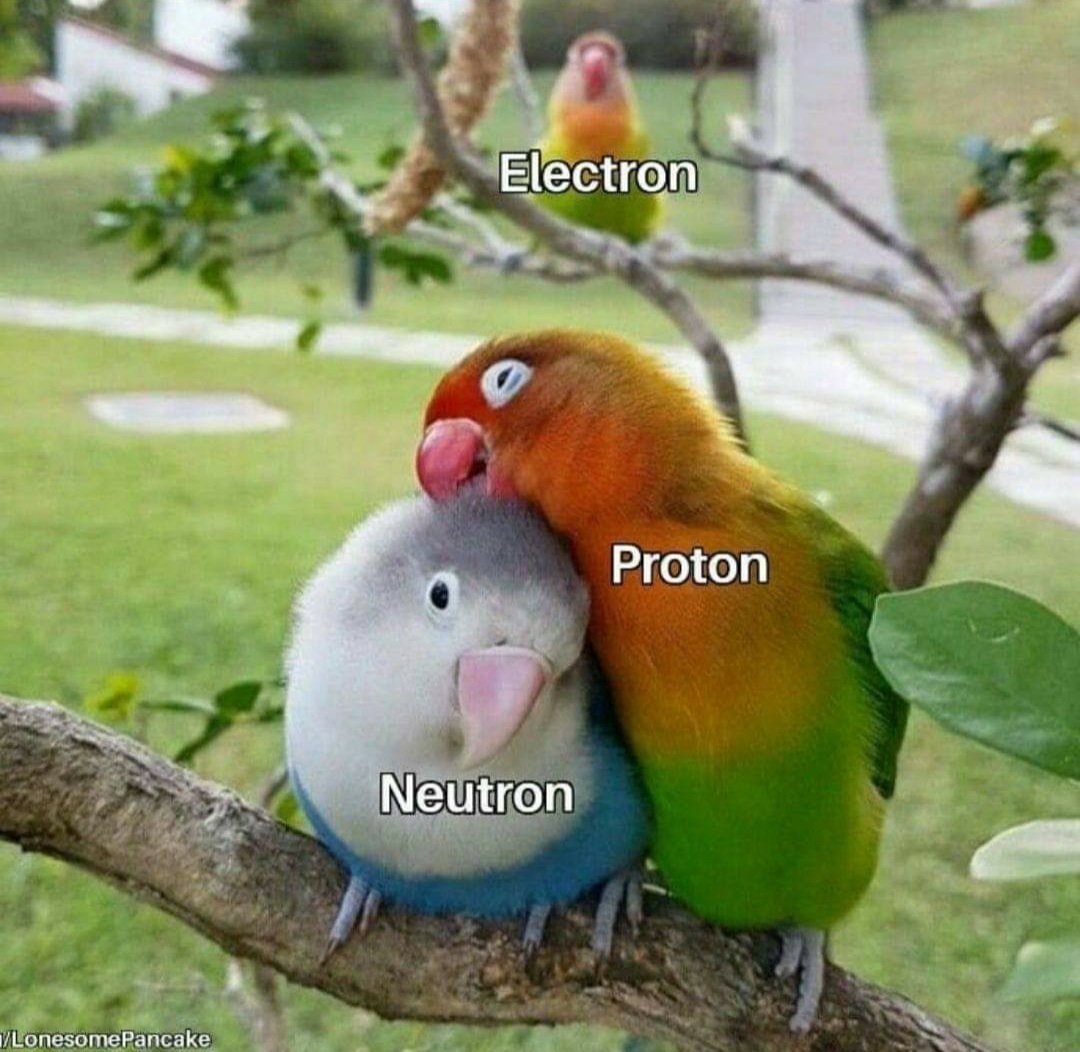 AP_Bio_GOD's tweet photo. Wow long hiatus, but saw this and it hit too deep to not share...
I ne er thought I could feel sad for an electron, but now I can officially say I do.
#electronshavefeelingstoo
#Biology #Chemistry #Chemistry_Meme https://t.co/pm9yBoEwOI