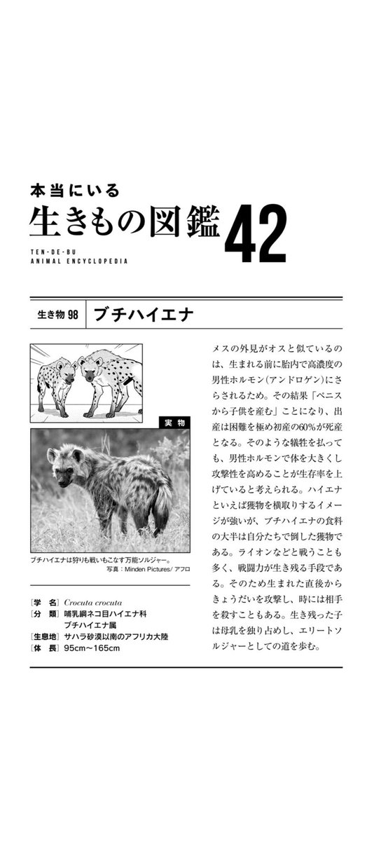 【アニメ放送中】象の耳は放熱版。動物のデザインは、ヘンに見えても意味がある。
進化ってすごい!とそんな生き物いたんか!が交互に来る生き物創造ギャグ漫画、新刊でました!
今回は「ペニスから子供を産み、幼い兄弟で殺し合う」ブチハイエナさん、そして植物部も登場です!
#天地創造デザイン部 