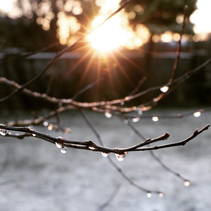 MelanieO_'s tweet photo. Sunrise over frozen raindrops 
#sligo #SaturdayMorning #WildAtlanticWay #ireland #canon #canonphotography https://t.co/QtAAG6VNSj