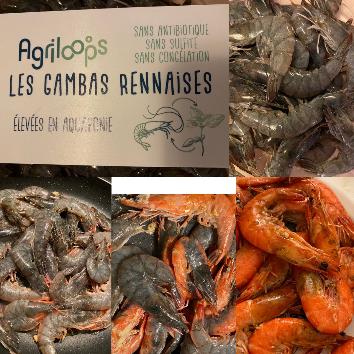 ggomez_chef's tweet photo. C’est la deuxième dégustation... Bravo @agriloops Pour ces crevettes  🦐 françaises 🇫🇷 
Un bon exemple de production intelligente. Grâce à l’aquaponie tout est valorisé. A suivre mais c’est déjà très prometteur. #nosproducteursontdutalent #nosmaraîchersontdutalent #bretagne https://t.co/0jXjCyOykg