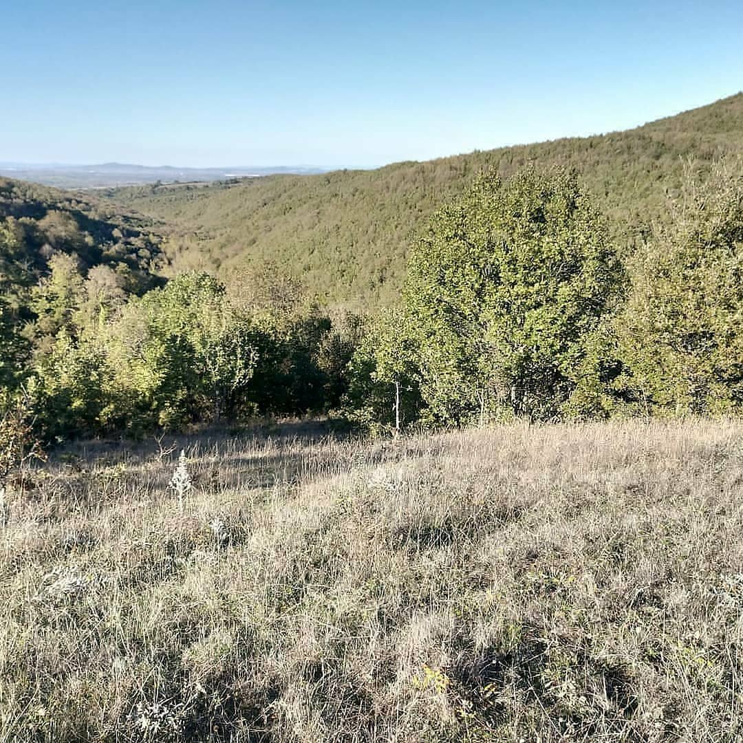 oneremlak's tweet photo. Çanakkale İli Biga İlçesi Geredelli Köyü Satılık 46,000m² besicilik ve ceviz ekimi için uygun arazi
Fiyat: 276,000₺
#bigageredellisatılıkarazi #bigasatılıktarla #yatırımlıkarazi https://t.co/AZLrnEnklF