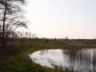 bdossenomgeving's tweet photo. Het is niet overal en altijd druk buiten, hier kun je nog wél heen https://t.co/3duO62TXne https://t.co/sEtR9N64CK
