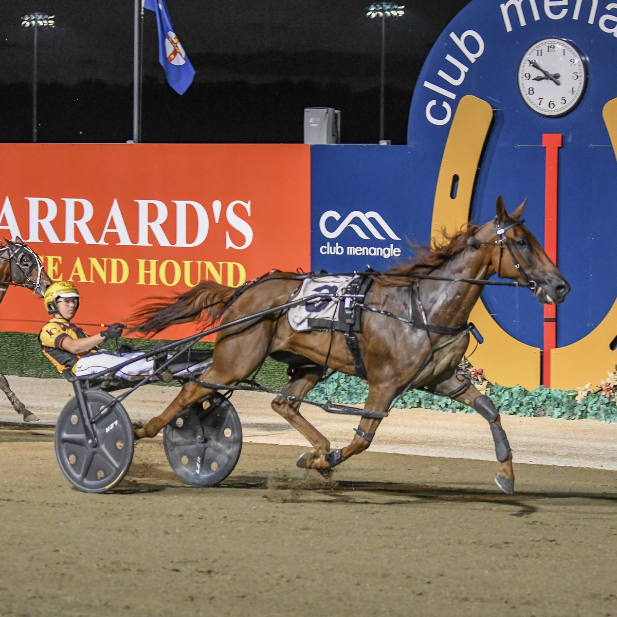 MAFUTA VAUTIN (Jack Callaghan) gives Craig Cross a personal milestone of 700 training wins in the fast class race of the evening; 𝗔𝗰𝗰𝗲𝘀𝘀 𝗚𝗿𝗼𝘂𝗽 𝗦𝗼𝗹𝘂𝘁𝗶𝗼𝗻𝘀 𝗣𝗮𝗰𝗲!