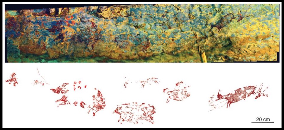 ivandiazsm's tweet photo. #ArteRupestre: foto y calco del panel de la cueva de Leang Bulu 'Sipong 4 (Sulawesi). Se ha interpretado como la escena de caza más antigua documentada. Se observan dos cerdos y cuatro parientes de búfalos de agua y ocho figuras antropomorfas. 44.000 años. Imagen: A. BRUMM. https://t.co/WlNqdNN4Ty