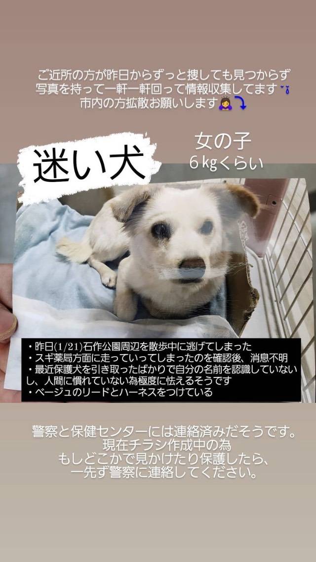 くるしゅん Kusukoji Twitter