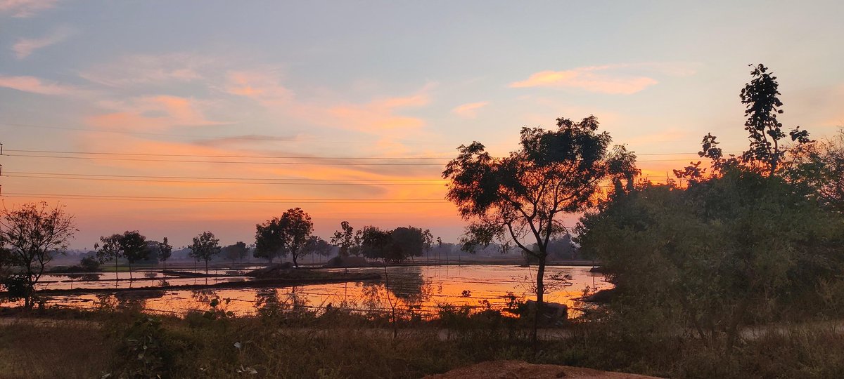 NatureCapture_'s tweet photo. #photographylovers #photography #photooftheday #photographer #photo #nature #photoshoot #naturephotography #photographers #india #tweetgood #love #travelphotography #picoftheday #photos #ig #portraitphotography #sunset #streetphotography #mobilephotography #portrait #Telangana https://t.co/MJ9XOuaQeZ