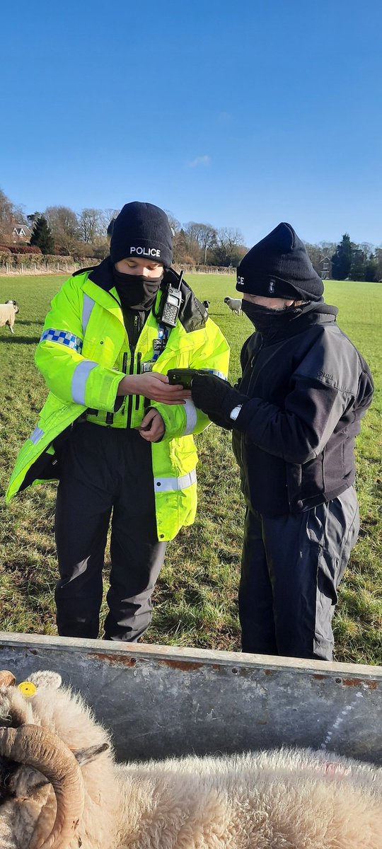 Operation Bo Peep tweet media