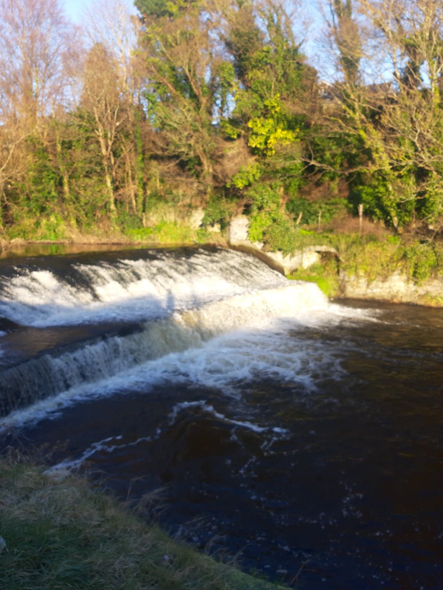 MaeveMcMahon's tweet photo. #day23 great to get out on the daylight at the weekends for #100daysofwalking @NTBreakfast #thedodder https://t.co/DdCF25bbzx