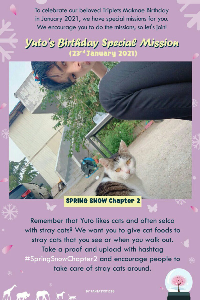 kinolilhottie's tweet photo. Thank you @fantasystic98 for hosting this charity event and preparing so much for the triplet's birthday🙌 This is a stray cat my mom picked up not long ago from the trash can near our home😢 I named her Mao Mao! Im so glad that Mao Mao loves the snack!😊 #SpringSnowChapter2 https://t.co/YraQFnM0Dd