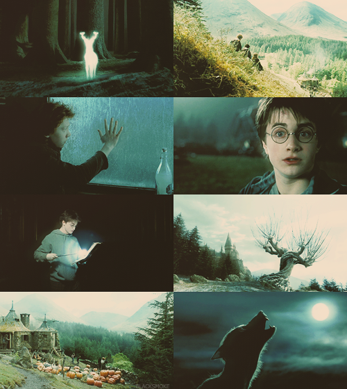 Harry Potter World tweet media