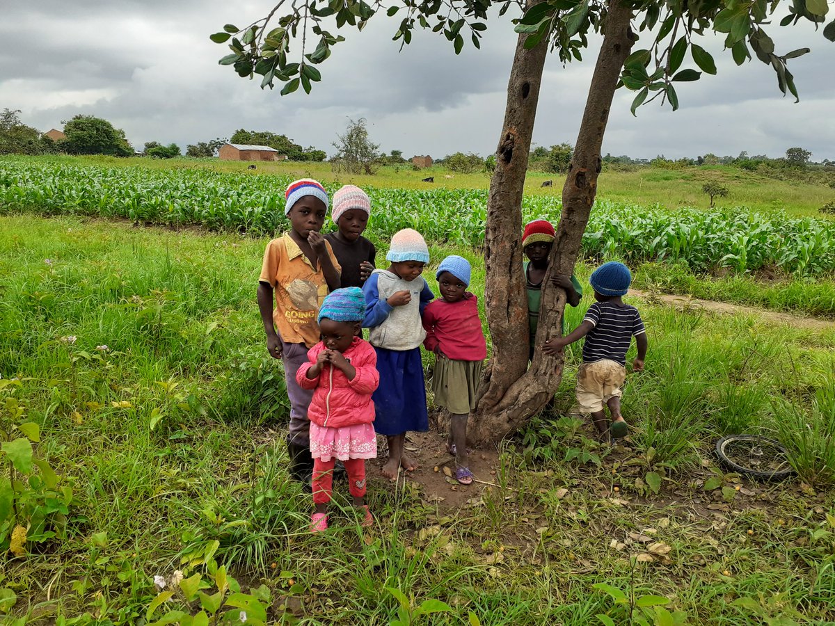 Sports for Education tweet media