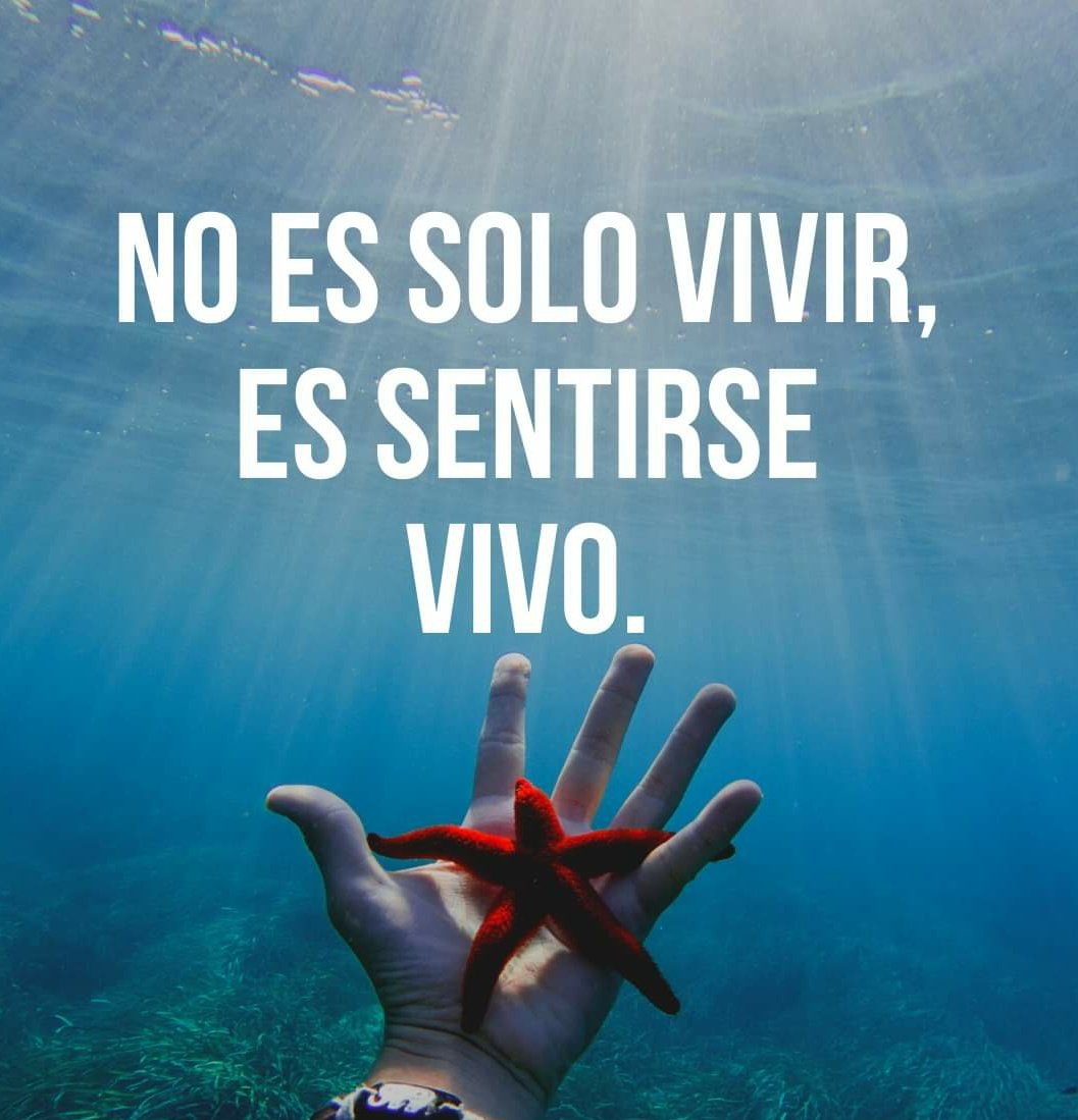 Faimarbella's tweet photo. Así de fácil... https://t.co/3SyCZroRcq
