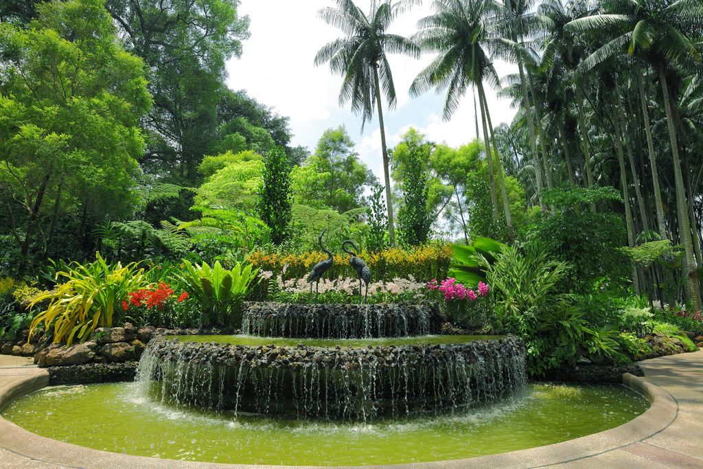 VisitSG_UK's tweet photo. Weโre sure the green spaces near you will be helping you escape currentlyโฆ ๐ฒ๐ณ Our green spaces here in #VisitSingapore will be waiting for you when travel is possibleโฆ ๐ฅฐ #Seeyouinabit https://t.co/MVieZVrkrx