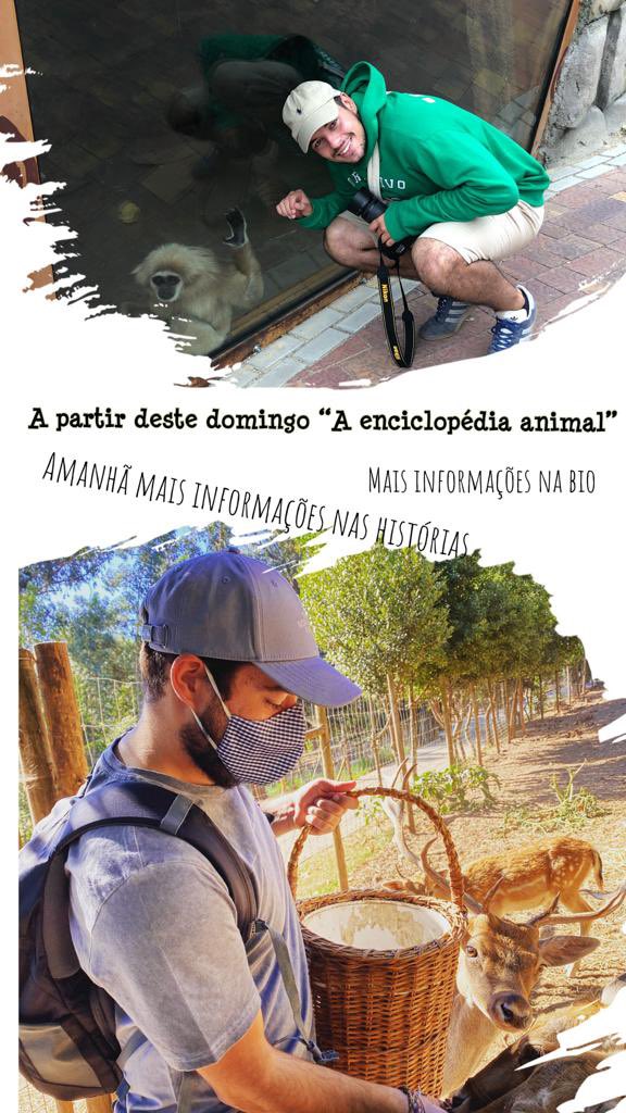 photoconserve's tweet photo. Malta amanhã vou começar um novo projeto vão até ao meu instagram e conheçam mais sobre ele e sigam a página @conservation_lenses https://t.co/ELRSBI1I61