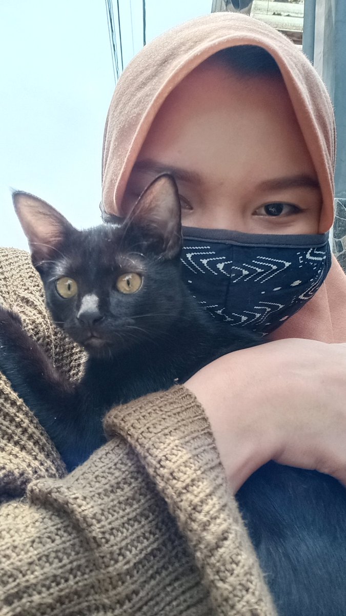 VioletBalsam_'s tweet photo. couldn't meet stray cats today so here's my entry for @fantasystic98 secret mission in Yuto's birthday! My cats love it and she says thank you!! I'm gonna bring the rest on my way to work later and feed some more❤️happy to celebrate yuto's birthday with cats! #SpringSnowChapter2 https://t.co/tjZ4bXQd7S